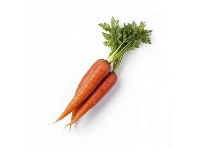 Carrot
