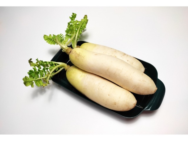 Radish