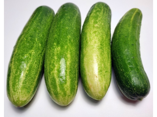 Cucumber