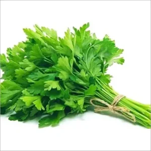 Coriander leaves