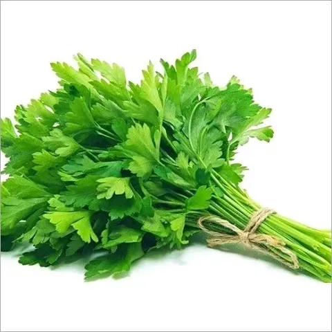 Coriander leaves