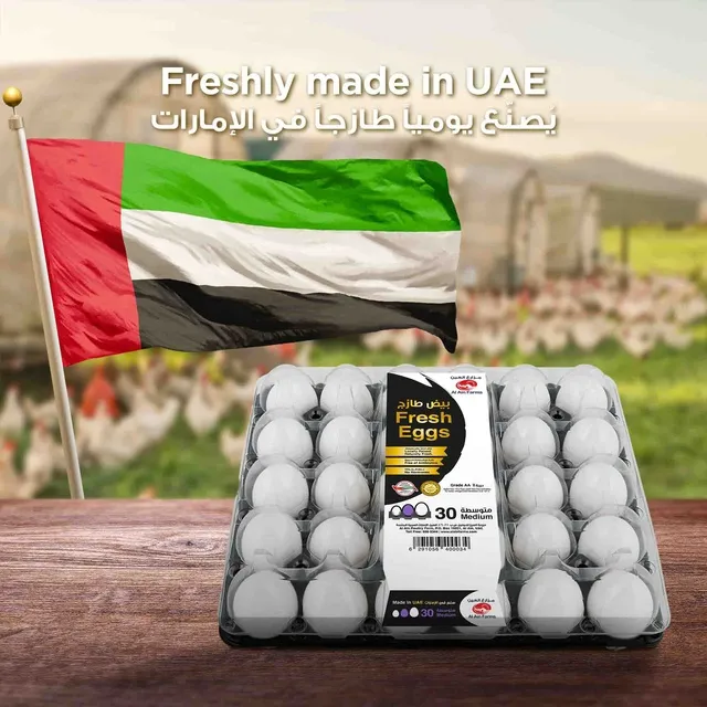 Al Ain Egg 30 pcs