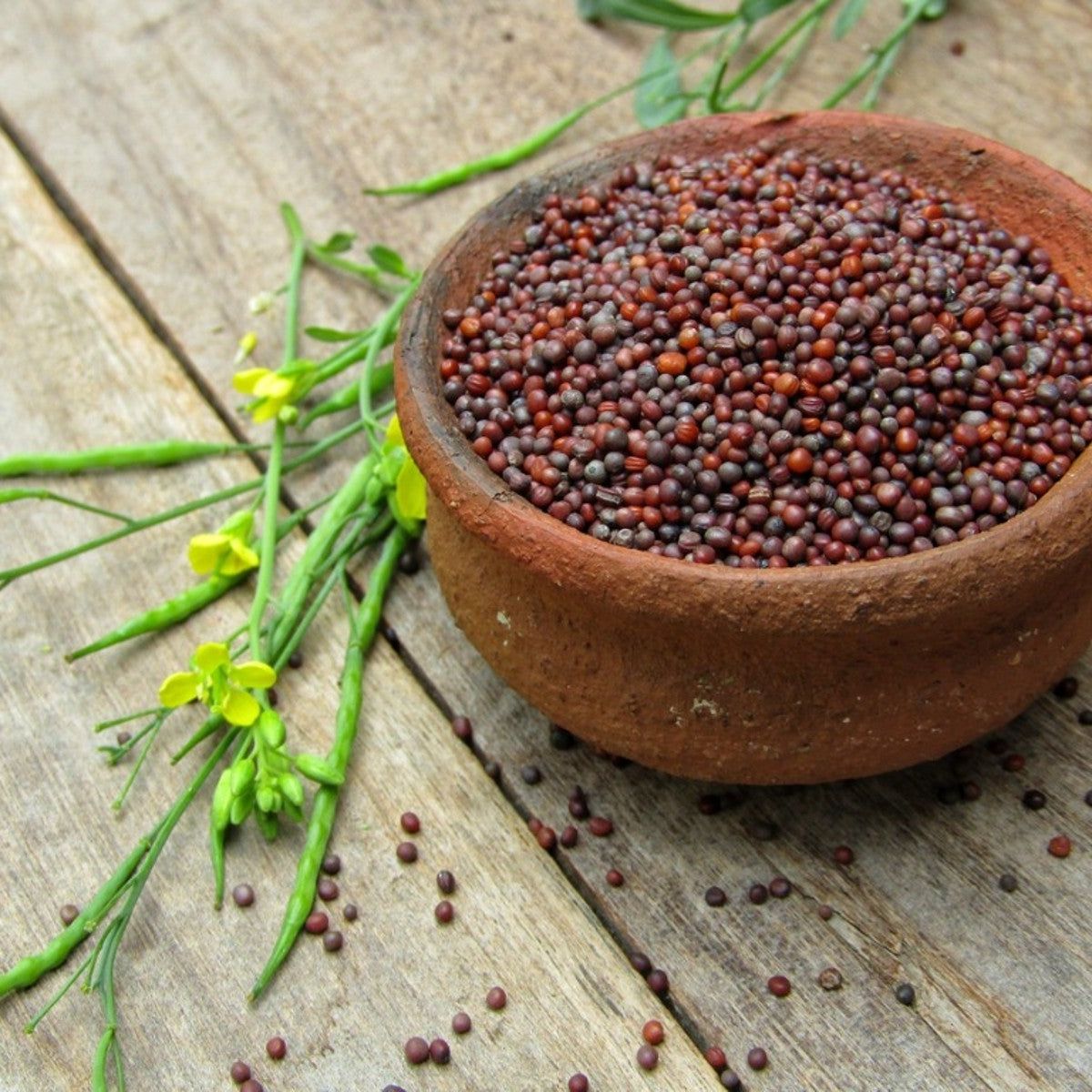 Mustard Seed 100 g