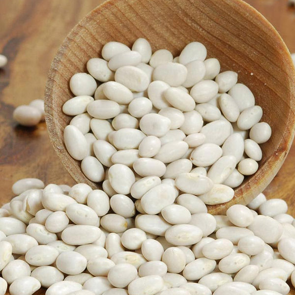 Mahra White Beans