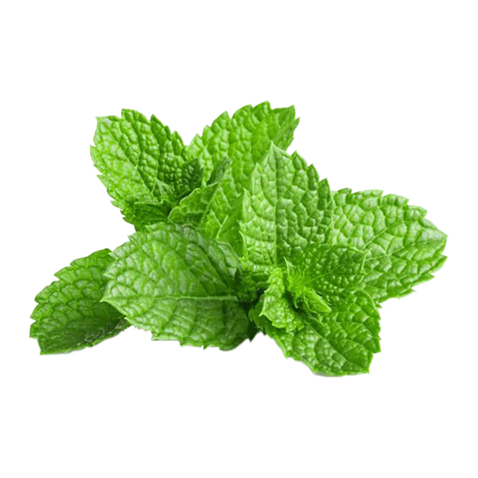 Mint leaves